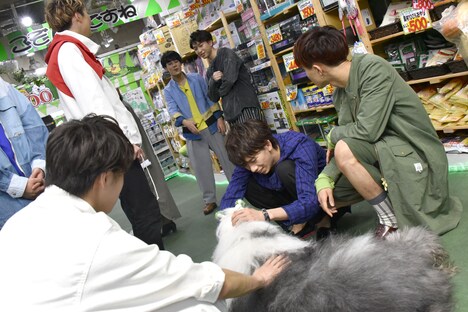 撮影の合間に犬とふれあうメンバーを遠くから見つめるユースケとコーイチ(中央奥)。