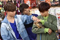 フクロウとふれあう（左から）カイ、リョウガ、タクヤ。