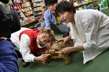 陸ガメのレポートに奮闘する（左から）ユーキ、ユースケ、タカシ。