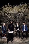 THE ORAL CIGARETTES