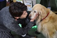 ゴールデンレトリバーのライラとふれあうコーイチ。