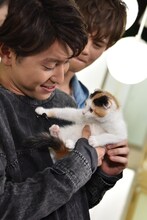 スコティッシュフォールドの赤ちゃんを抱っこするコーイチ。