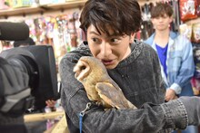 フクロウのレポートに臨むコーイチ。