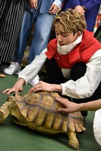 陸ガメを撫でるユーキ。