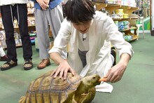 陸ガメにエサをあげるタカシ。