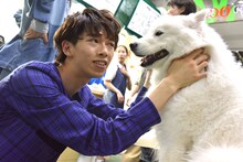 撮影の合間にサモエドと遊ぶリョウガ。