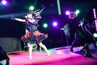 椎名ぴかりんによるライブの様子。