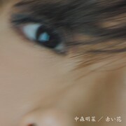 中森明菜「赤い花」ジャケット