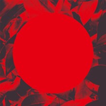 PELICAN FANCLUB「OK BALLADE」ジャケット