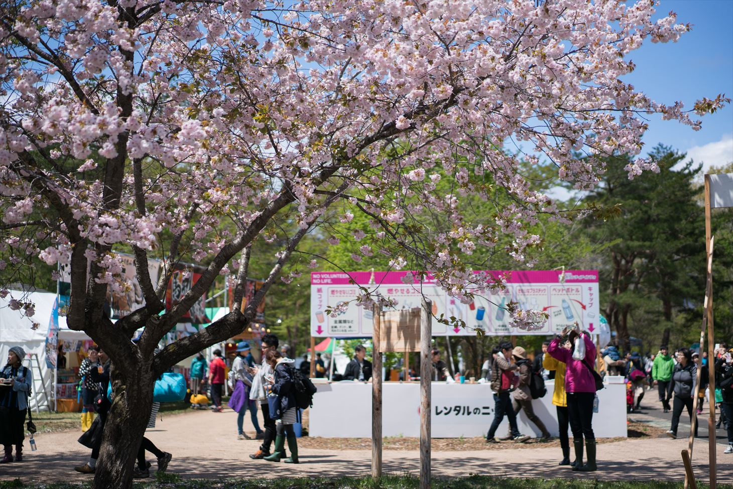 「ARABAKI ROCK FEST.16」会場の様子。（写真提供：ARABAKI PROJECT）