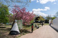 「ARABAKI ROCK FEST.16」会場の様子。（写真提供：ARABAKI PROJECT）