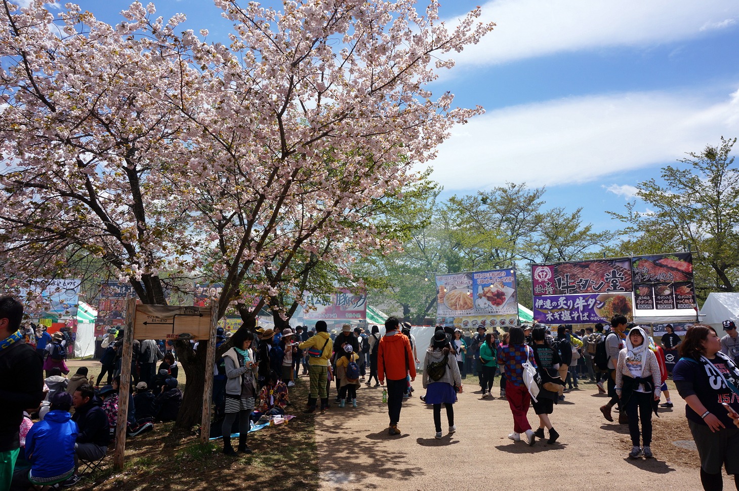 「ARABAKI ROCK FEST.16」会場の様子。