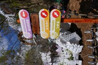 「ARABAKI ROCK FEST.16」会場の様子。