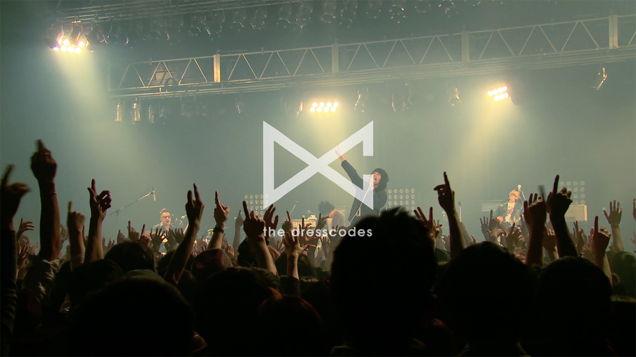 ドレスコーズ「SWEET HAPPENING ～the dresscodes 2015 "Don't Trust Ryohei Shima" JAPAN TOUR～」トレイラー映像のワンシーン。