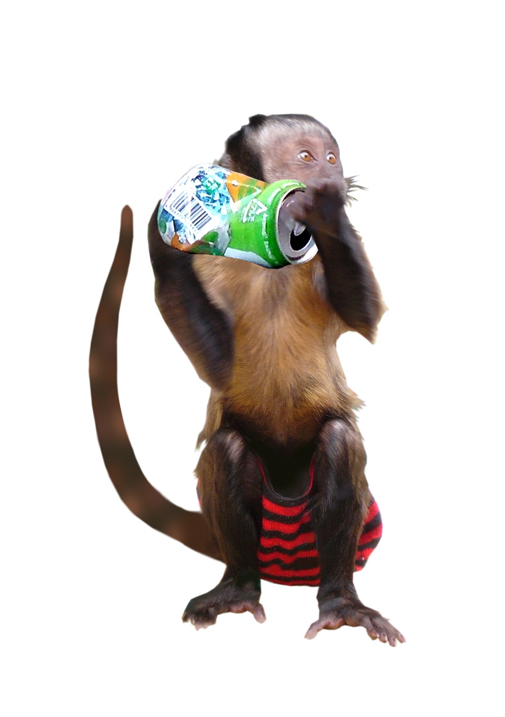 ジュジュ