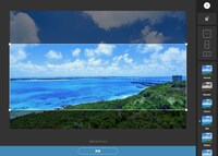 「g.o.a.t」使用イメージ