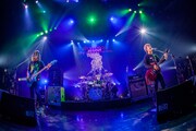 dustbox「skyrocket Tour 2016」東京・赤坂BLITZ公演の様子。（Photo by HayachiN）