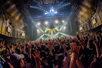 dustbox「skyrocket Tour 2016」東京・赤坂BLITZ公演の様子。（Photo by HayachiN）