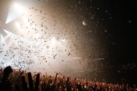 「one-man live tour 2016 "Image World"」Zepp Tokyo公演の様子。（Photo by Yosuke Kamiyama）