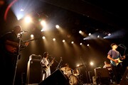 bonobos「BRAND NEW!!!!!」の様子。(写真提供:ヒップランドミュージック)