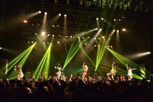 ベイビーレイズJAPAN