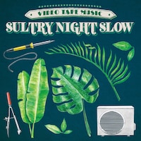 VIDEOTAPEMUSIC「Sultry Night Slow」ジャケット