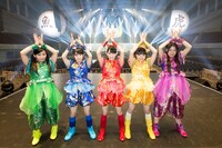 チームしゃちほこ（撮影；笹森健一）