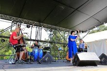 二階堂和美のライブの様子。