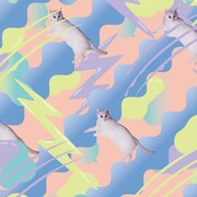 ねこね、こねこね。「ねこの気まぐれ」ジャケット