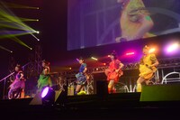 「鯱のぼり」の様子。