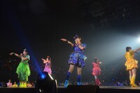 「鯱のぼり」の様子。