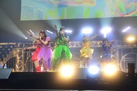 「鯱のぼり」の様子。