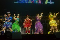 「鯱のぼり」の様子。