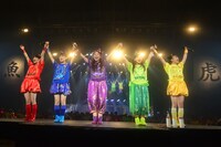 「鯱のぼり」の様子。