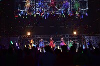 「鯱のぼり」の様子。