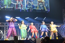 吠えるチームしゃちほこ。