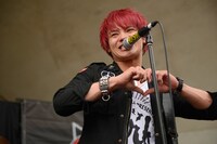 アカマトシノリ（Vo, B / HOTSQUALL）（撮影：半田安政[showcase]）