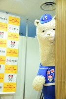 壁際からじっと見るパカくん。