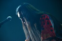 Seiho（Sugar's Campaign）