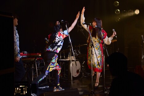 ハイタッチするSeiho（Sugar's Campaign）と南波志帆。