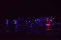 岡村靖幸のライブの様子。（撮影：浦田大作） (c)TBS