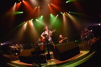 藤巻亮太「藤巻亮太 TOUR 2016 ～春祭編～」東京・Zepp Tokyo公演の様子。（撮影：古渓一道）