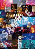 「BUMP OF CHICKEN結成20周年記念Special Live『20』」タワーレコード予約者特典ポスターデザイン