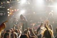 SUPER BEAVERが演奏する様子。