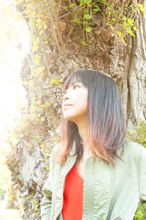 ユーズ（RAM WIRE）