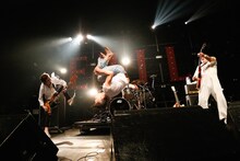 ジャパハリネット（Photo by Yosuke Kamiyama）