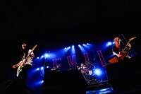 Dizzy Sunfist（撮影：瀧本”JON…”行秀）