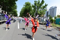 アップアップガールズ（仮）とファンによる「パーリーピーポーエイリアン“YOSAKOIソーランver.”」披露の様子。