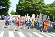 アップアップガールズ（仮）とファンによる「パーリーピーポーエイリアン“YOSAKOIソーランver.”」披露の様子。