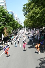 アップアップガールズ（仮）とファンによる「パーリーピーポーエイリアン“YOSAKOIソーランver.”」披露の様子。